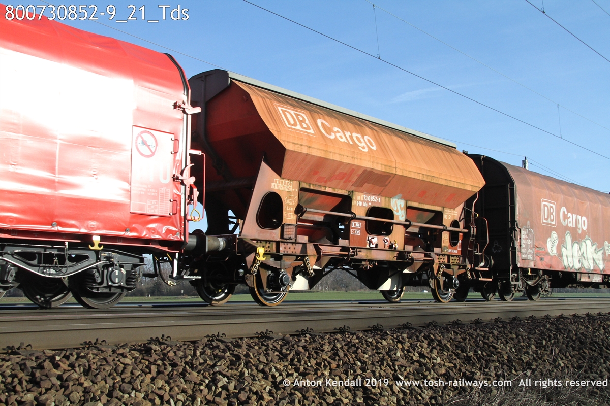 800730852-9_21_Tds.JPG